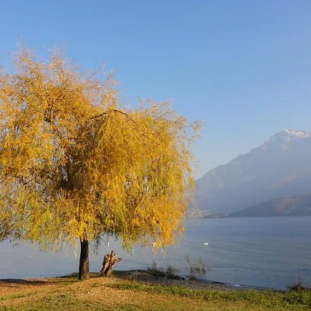 Gorgotto * 그라베도나